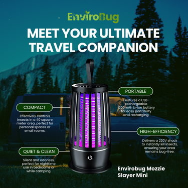 Family Travel-Safe Essentials image